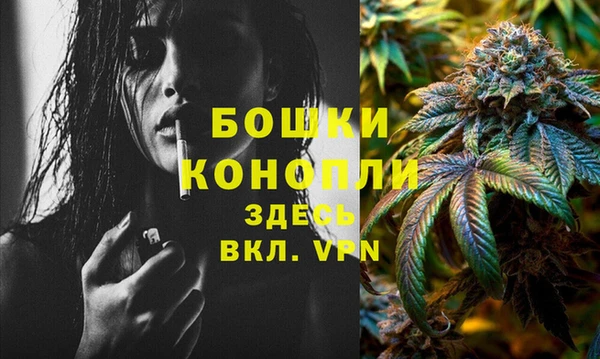 мяу мяу мука Белокуриха