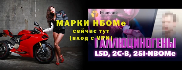 мяу мяу мука Белокуриха