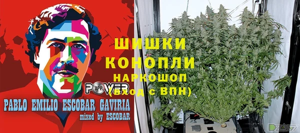 мяу мяу мука Белокуриха