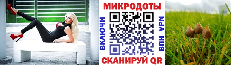 Галлюциногенные грибы Psilocybe  ссылка на мегу рабочий сайт  Кизилюрт  купить  цена 